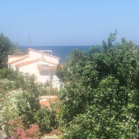 Primera Linea De Playa A 1Km Del Puerto De デニア エクステリア 写真